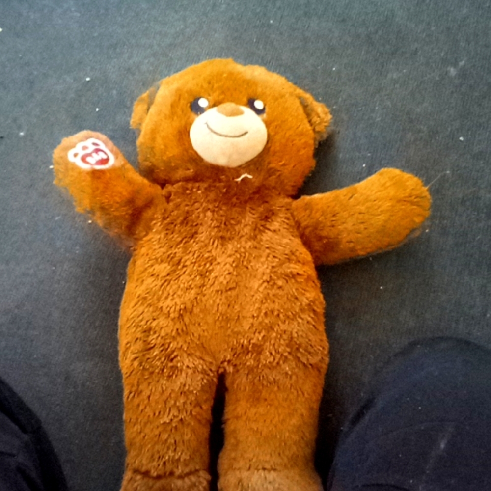 Teddy Bear